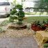landscapins pictures 1043